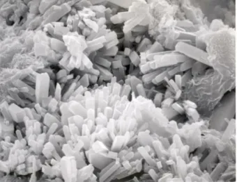 Magnesium crystals, electron micrograph